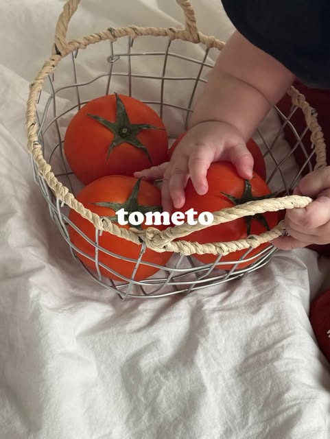 가을 신상 서포터즈 모집