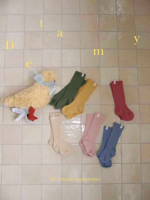 어텀타미 15기 서포터즈 모집
