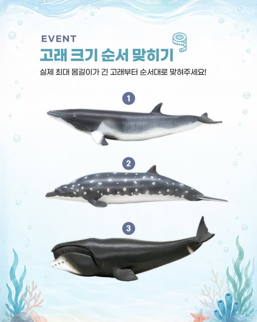 고래 크기 순서 맞히기 댓글 이벤트 증정